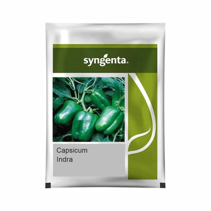 Syngenta Indra Capsicum Hybrid Seeds 1500SD