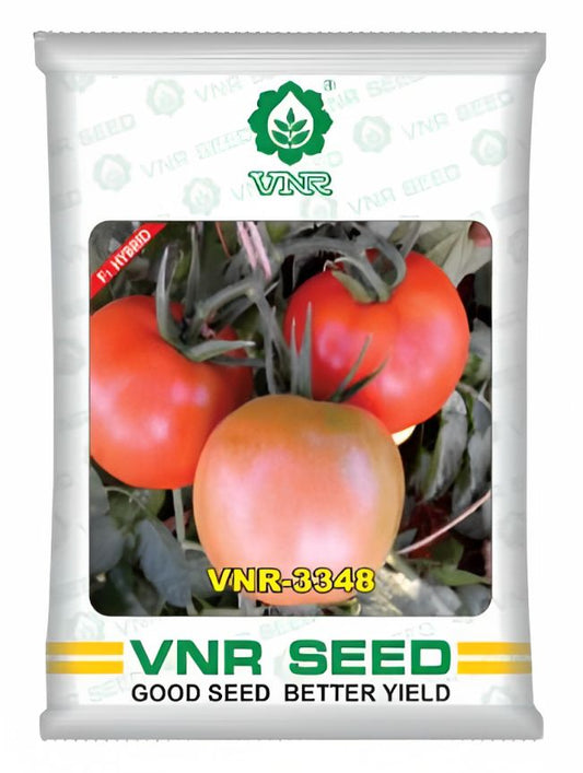 VNR 3348 Tomato Hybrid Seeds 10 Gm