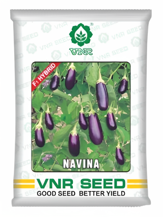 VNR Navina Brinjal Hybrid Seeds 10 Gm