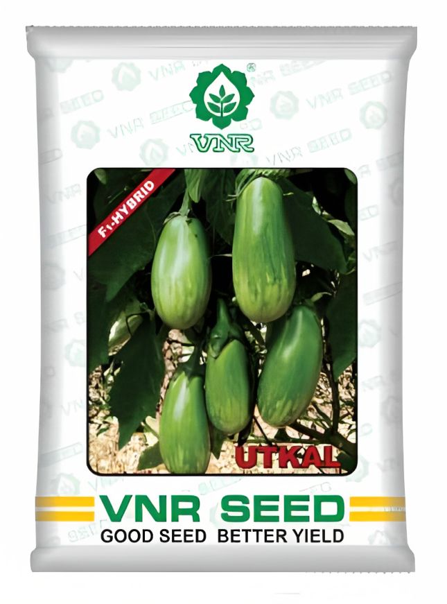 VNR Utkal Brinjal Hybrid Seeds 10 Gm