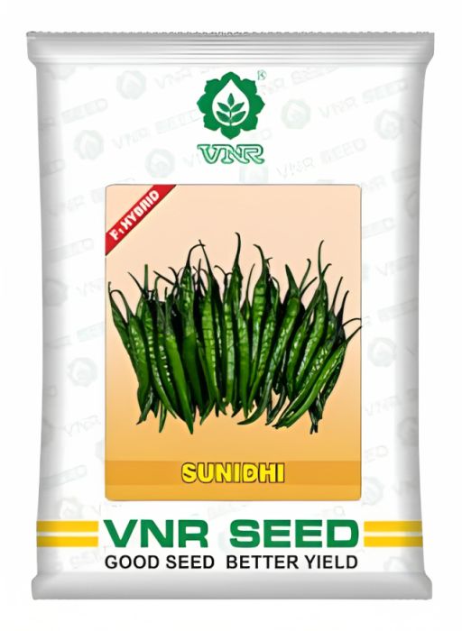 VNR Sunidhi Chilli Hybrid Seeds 10 Gm