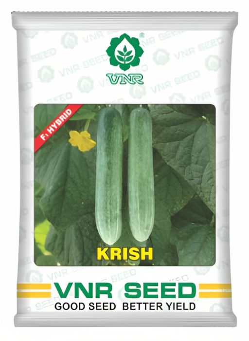 VNR Krish Cucumber Hybrid Seeds 10 Gm