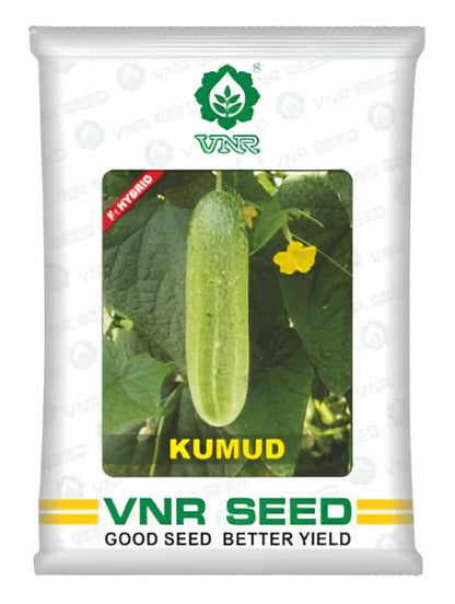 VNR Kumud Cucumber Hybrid Seeds 10 Gm
