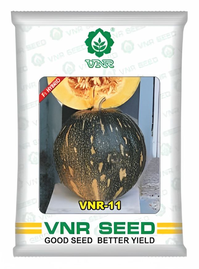 VNR 11 Pumpkin Hybrid Seeds 50 Gm
