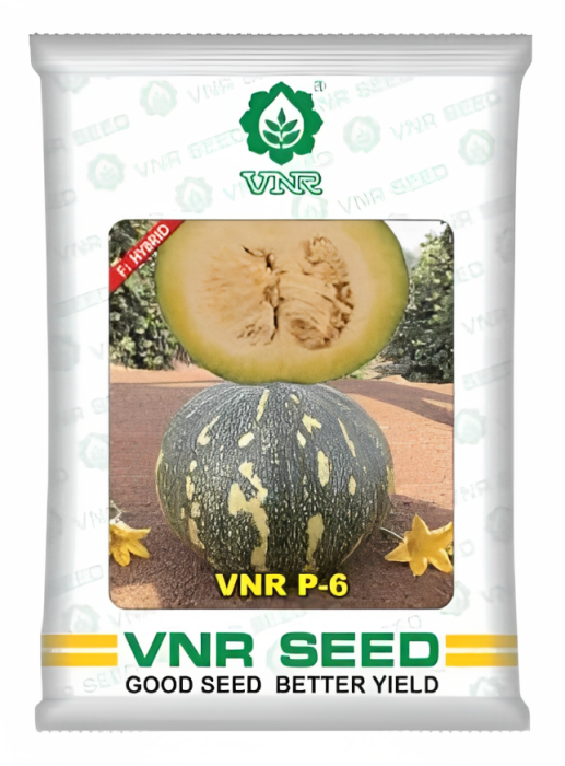 VNR P-6 Pumpkin Hybrid Seeds