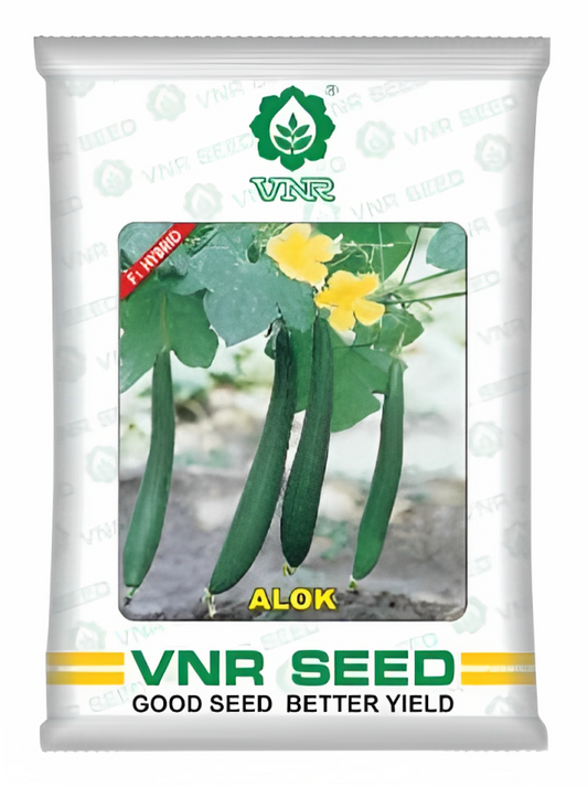 VNR Alok Sponge Gourd Hybrid Seeds