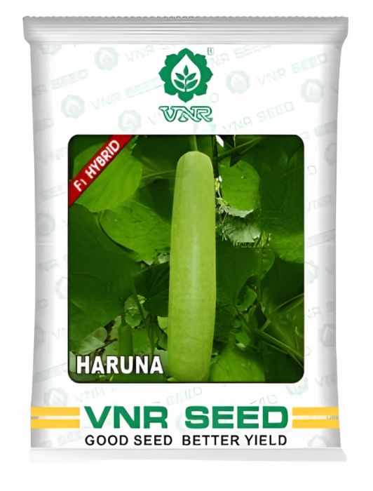 VNR Haruna Bottle Gourd Hybrid Seeds-50 Gm