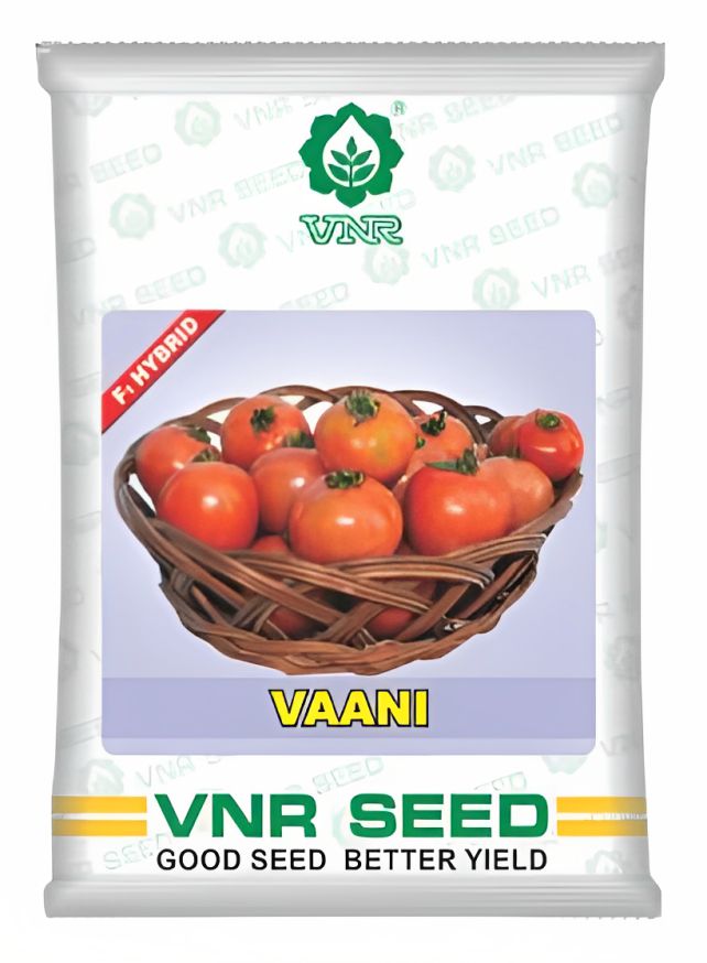 VNR Vaani Tomato Hybrid Seeds 10 Gm