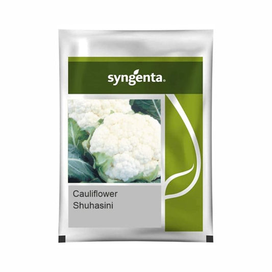 Syngenta Suhasini Cauliflower Hybrid Seeds 2000SD