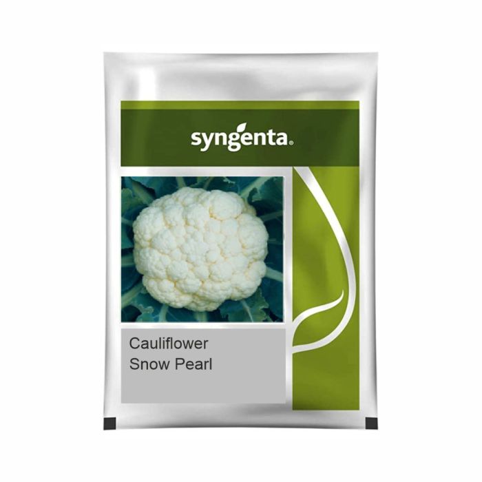 Syngenta Snow Pearl Cauliflower Hybrid Seeds 2000SD