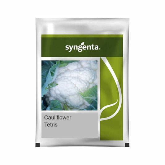 Syngenta Tetris Cauliflower Hybrid Seeds 2000SD