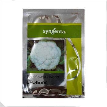 Syngenta CFL-1522 Cauliflower Hybrid Seeds