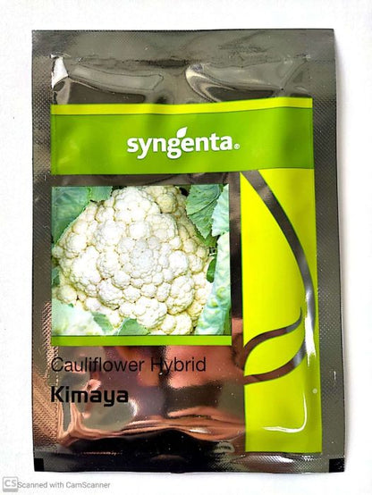 Syngenta Kimaya Cauliflower Hybrid Seeds 2000SD