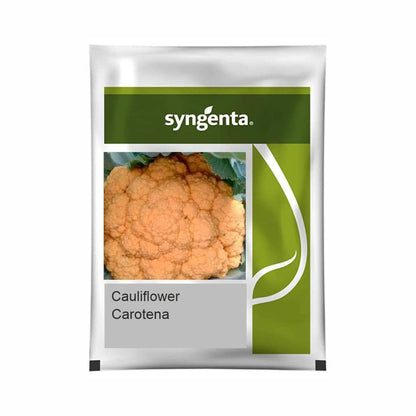 Syngenta Carotena Cauliflower Hybrid Seeds