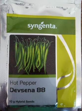 Syngenta Devsena 88 Hot Pepper Hybrid Seeds 1500SD