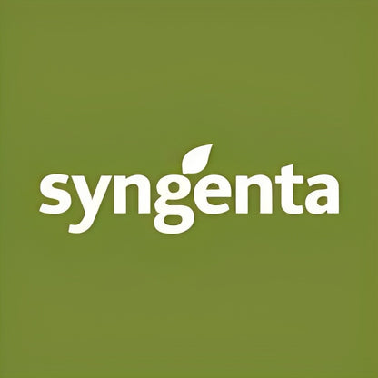 Syngenta Nadiya Rani Watermelon Hybrid Seeds 1000SD