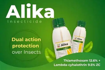 Syngenta Alika (Thiamethoxam 12.6% + Lambda-cyhalothrin 9.5% ZC) insecticide