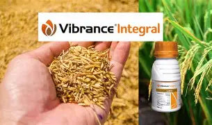 किन्स्टा २०० एससी (क्लोरँट्रानिलिप्रोल १८.५% एससी) कीटकनाशक