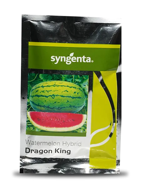 Syngenta Dragon King Watermelon Hybrid Seeds 50gm