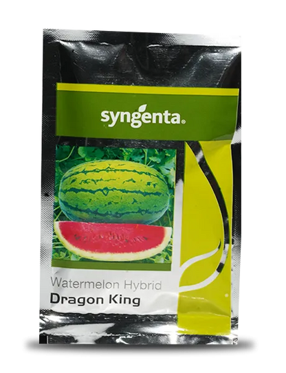 Syngenta Dragon King Watermelon Hybrid Seeds 50gm