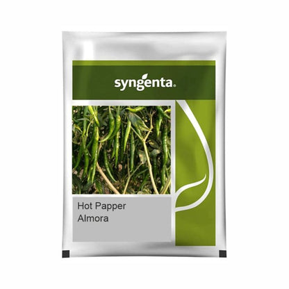 Syngenta Almora (HPH1718) Hot Pepper Hybrid Seeds 1500SD