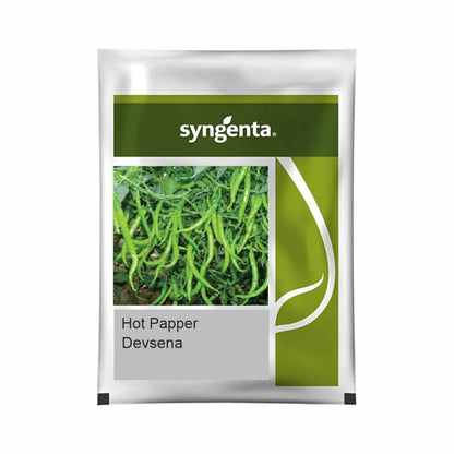 Syngenta Devsena 88 Hot Pepper Hybrid Seeds 1500SD