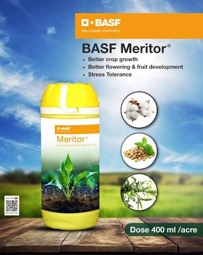 BASF Meritor Concentrated liquid Calcium 11% Fertilizer