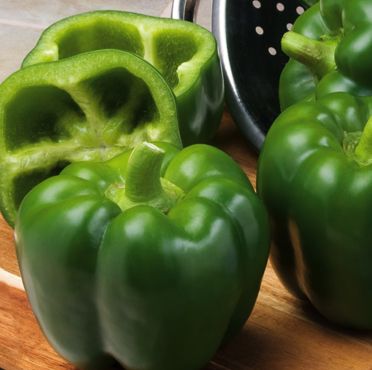 Syngenta Intruder Capsicum Hybrid Seeds 1500SD