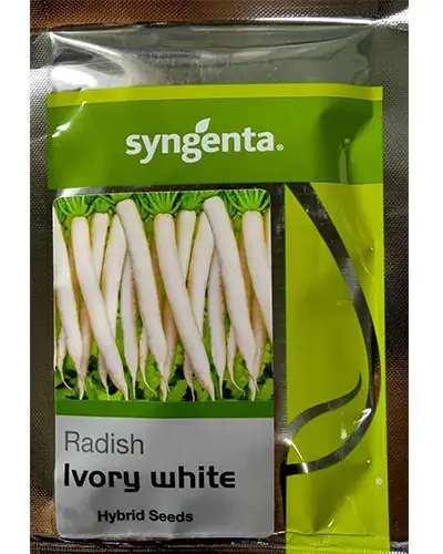 Syngenta Ivory White Radish Hybrid Seeds