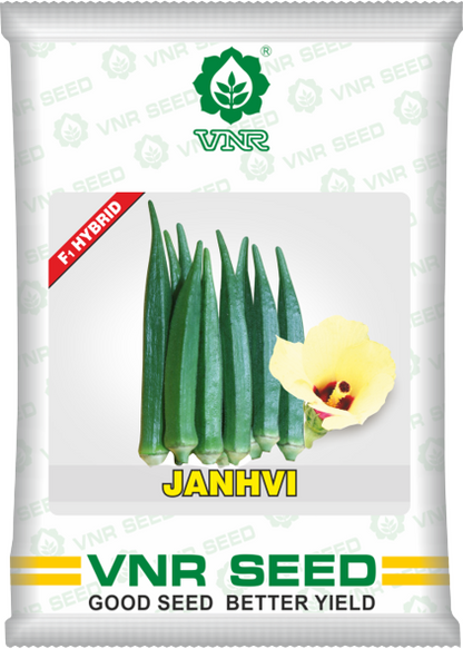 VNR Janhvi Bhindi Hybrid Seeds 250 Gm