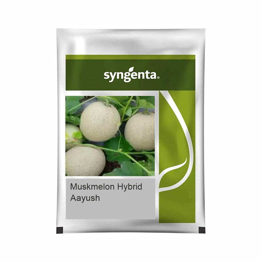 Syngenta Aayush Musk Melon Hybrid Seeds 1000SD