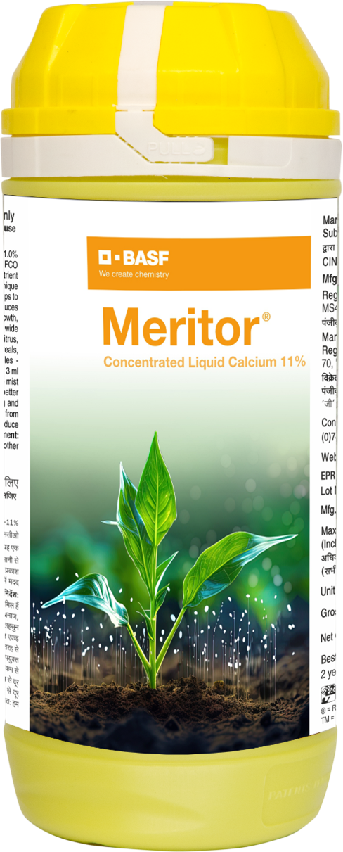 BASF Meritor Concentrated liquid Calcium 11% Fertilizer
