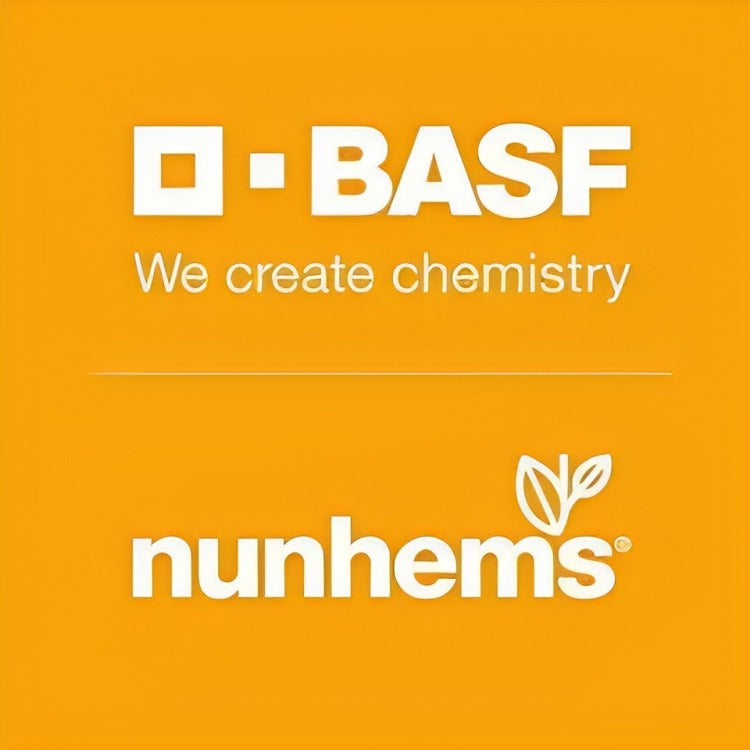 BASF nunhems Madhuraja F1 Hybrid Muskmelon Seeds
