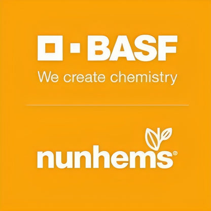 BASF nunhems Lyallpur 257 F1 Hybrid Muskmelon Seeds