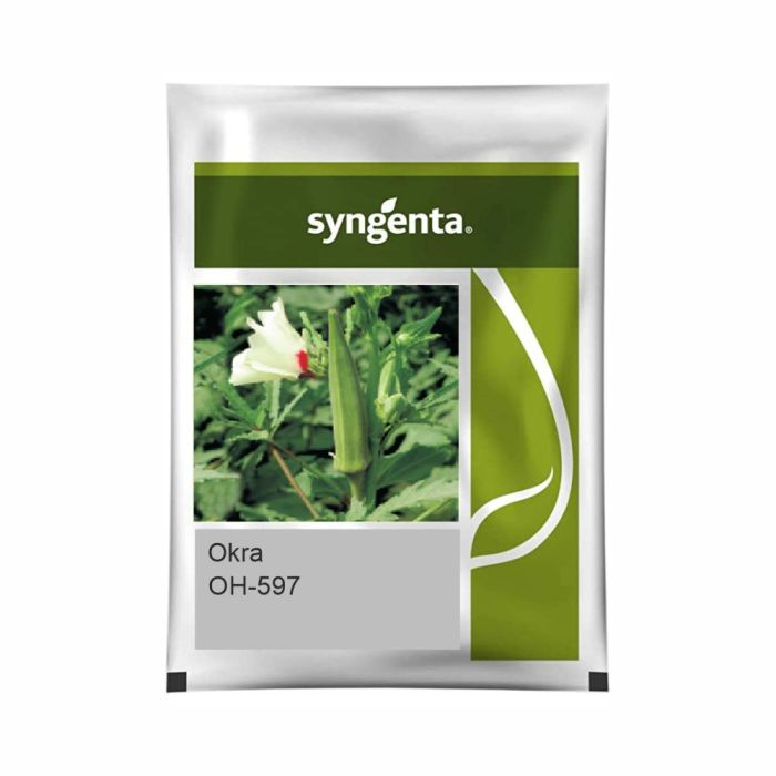 Syngenta OH-597 Okra Hybrid Seeds 250gm