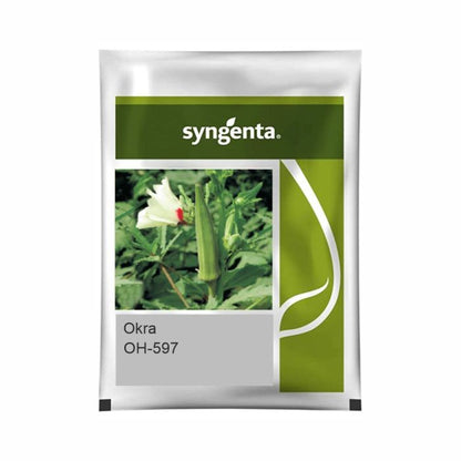 Syngenta OH-597 Okra Hybrid Seeds 250gm