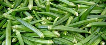 Okra