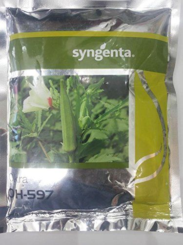 Syngenta OH-597 Okra Hybrid Seeds 250gm