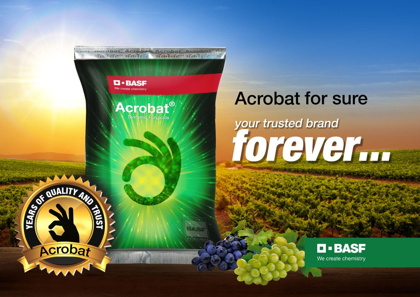 BASF Acrobat (Dimethomorph 50% WP) Fungicide