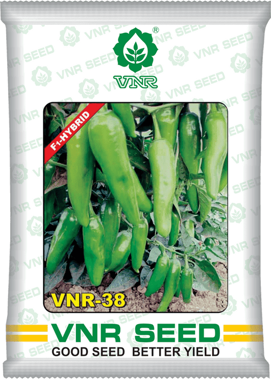 VNR VNR-38 Chilli Hybrid Seeds 10 Gm