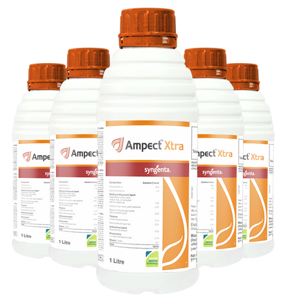 Syngenta Ampect  Xtra ( Azoxystrobin 18.2% + Cyproconazole 7.3% SC  ) Fungicide