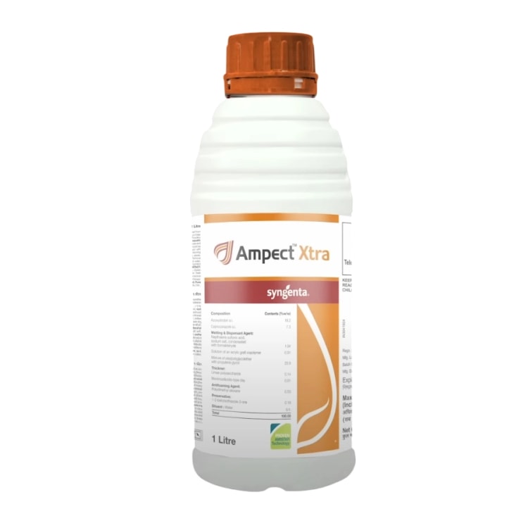 Syngenta Ampect  Xtra ( Azoxystrobin 18.2% + Cyproconazole 7.3% SC  ) Fungicide