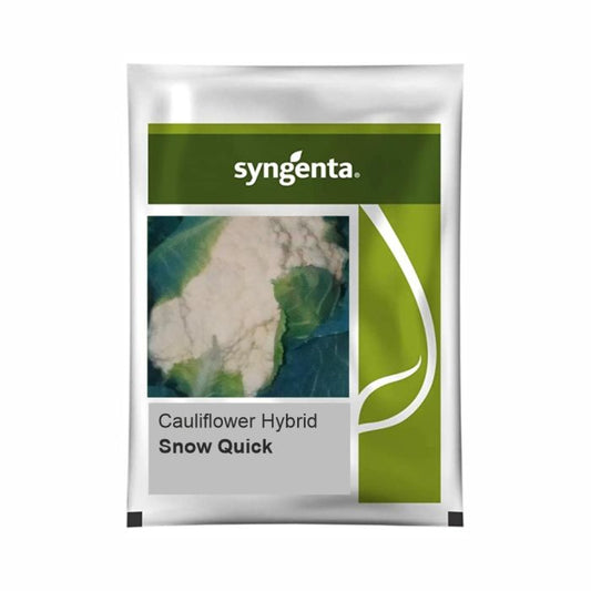 Syngenta Snow Quick Cauliflower Hybrid Seeds 2000SD