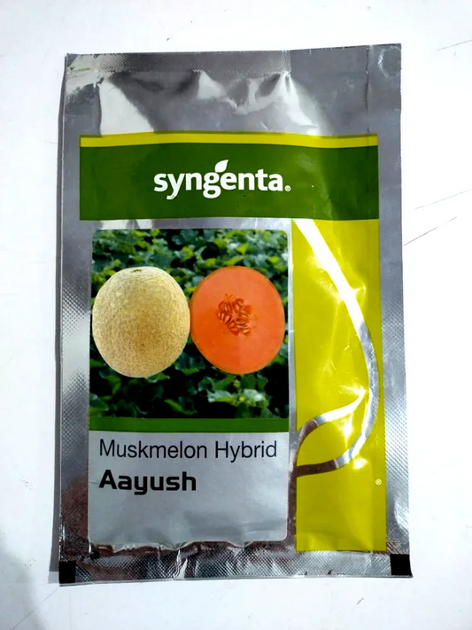 Syngenta Aayush Musk Melon Hybrid Seeds 1000SD