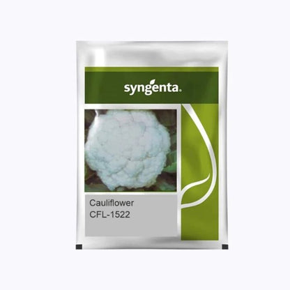 Syngenta CFL-1522 Cauliflower Hybrid Seeds