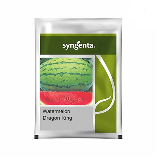 Syngenta Dragon King Watermelon Hybrid Seeds 50gm