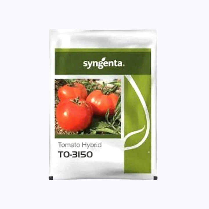 Syngenta TO-3150 Tomato Hybrid Seeds 3000SD