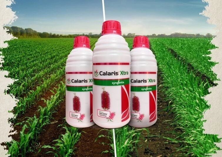 Syngenta Calaris Xtra (Mesotrione 2.27% W/W + Atrazine 22.7% W/W SC) Herbicide