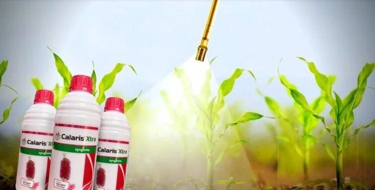Syngenta Calaris Xtra (Mesotrione 2.27% W/W + Atrazine 22.7% W/W SC) Herbicide