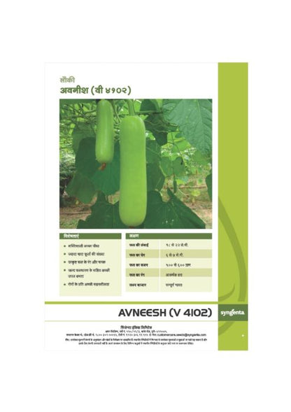 Syngenta Avneesh Bottle Gourd Hybrid Seeds 50 Gm